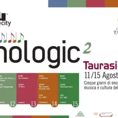 Enologic Taurasi 2016