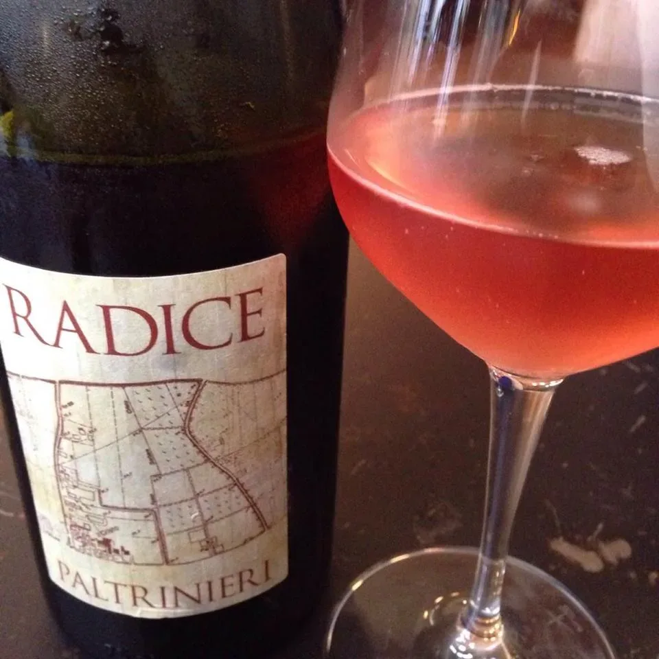 Radice – Cantina Paltrinieri