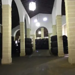 Bodegas Tradicion, la bottaia