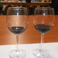 Cilento Summer Festival Degustazione in verticale di Gillo Dorfles di San Salvatore