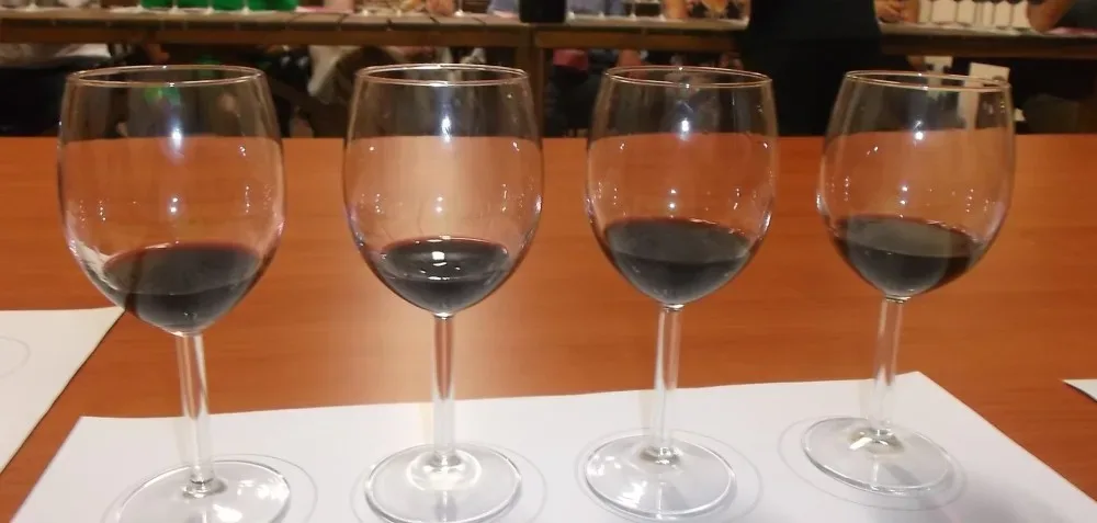 Cilento Summer Festival Degustazione in verticale di Gillo Dorfles di San Salvatore