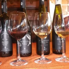 Degustazione vini di Albamarina