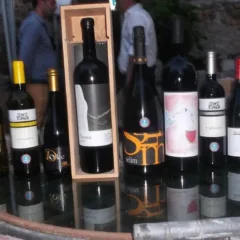 Festival del Moscato e Spumante a Castinatelli Vini cilentani in esposizione