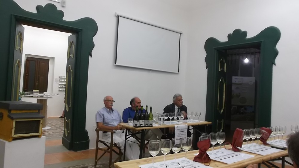 Mediterranean Wine Festival di Pioppi da sx Enrico Malgi, Peppino Pagano e Francesco Continisio