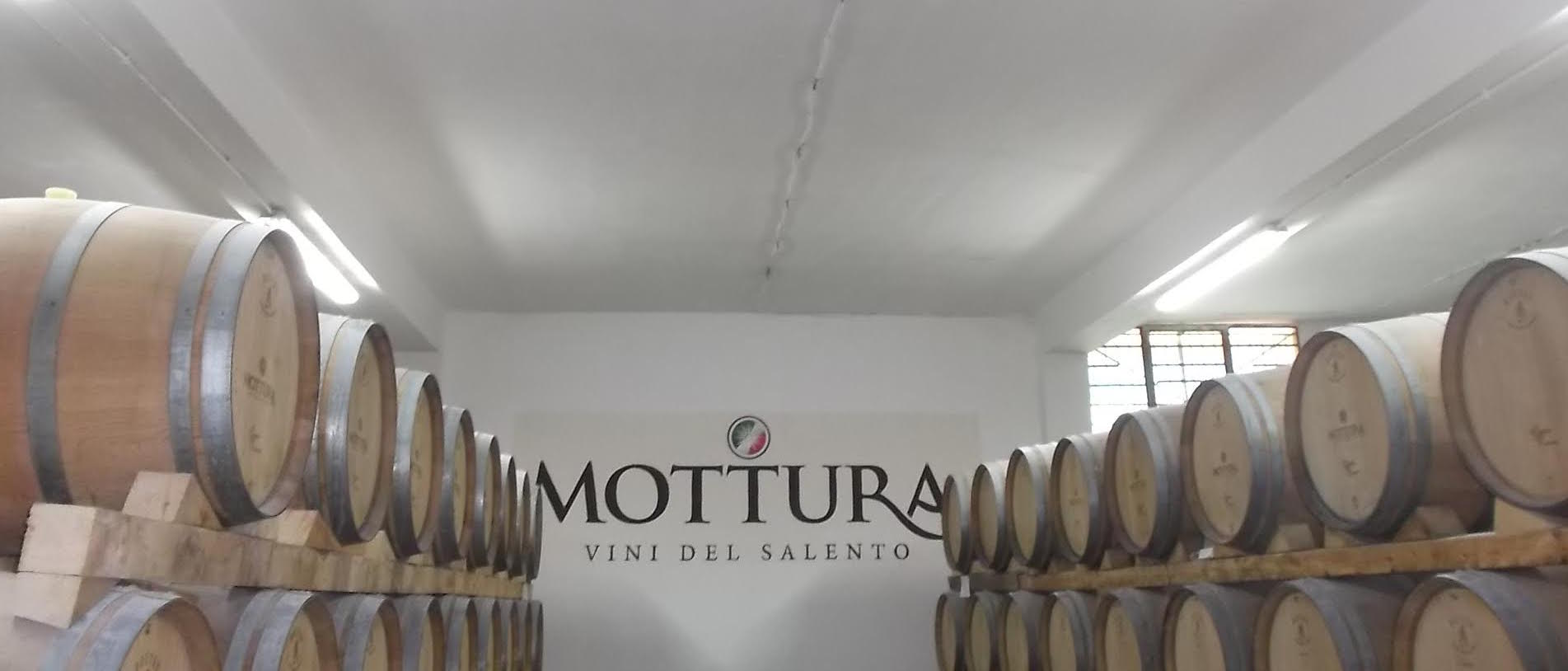 Vini Mottura, la bottaia