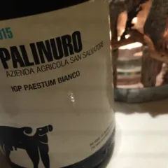 Palinuro bianco San Salvatore