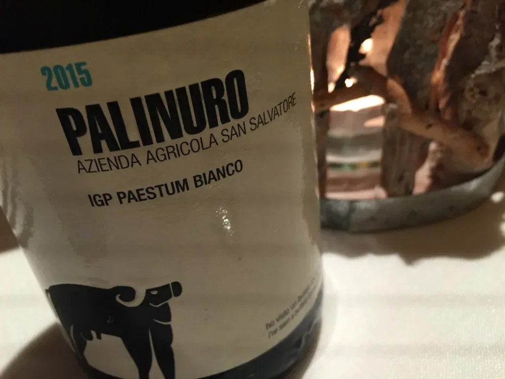 Palinuro bianco San Salvatore