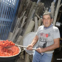 San marzano day, zi Vincenz e i suoi pomodori