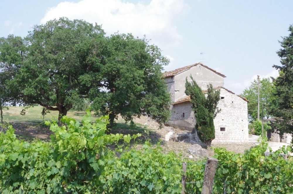 Tenuta Fontana, il casale