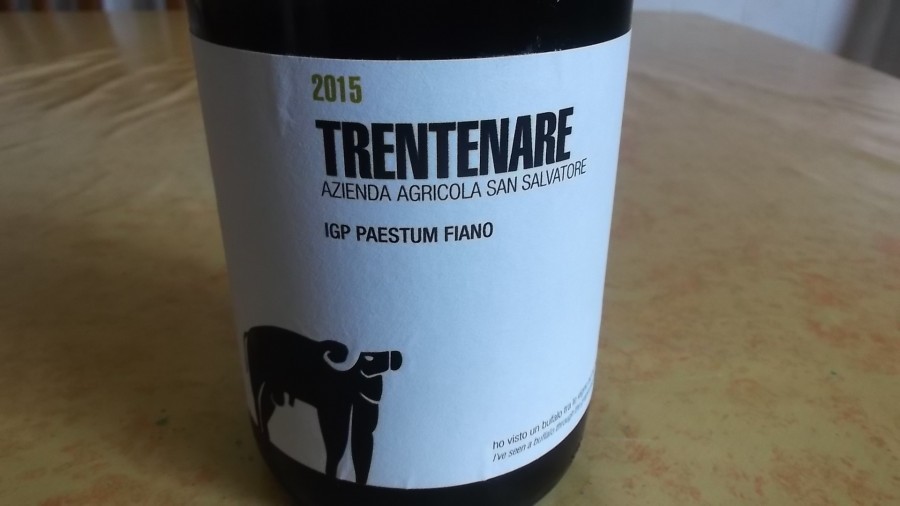 Trentenare Fiano Paestum Igp 2015 San Salvatore