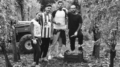 Ventitre filari fiano