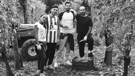 Ventitre filari fiano