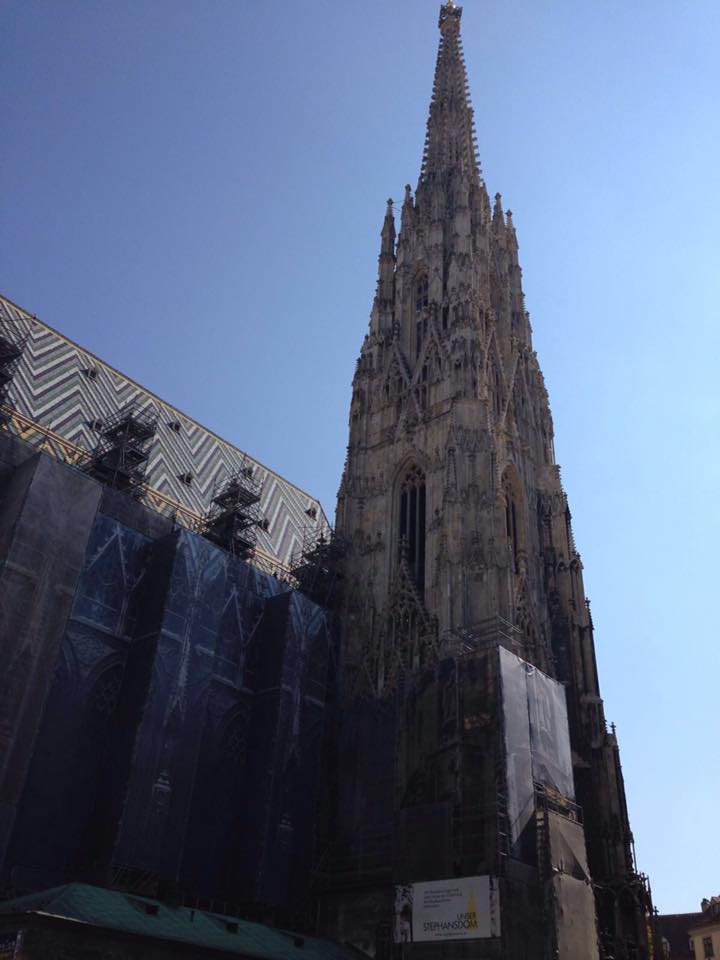 Vienna, uno scorcio del Duomo di Santo Stefano