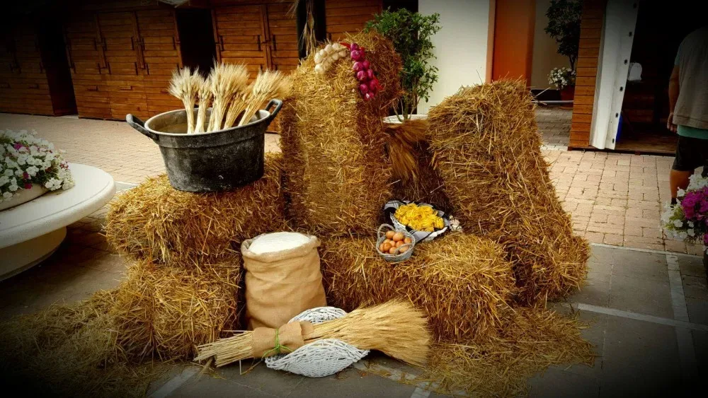 I MILLE VOLTI DEL GRANO. PANE, PIZZE, FOCACCE