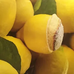 Souffle' al liquore di limoni