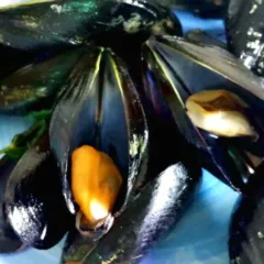 muscoli alla marinara