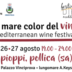 Mediterranean Wine Festival 2016