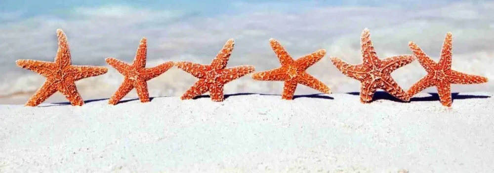 Ristoranti Stellati?