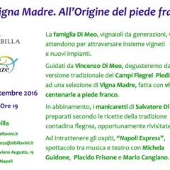 Vigna Madre