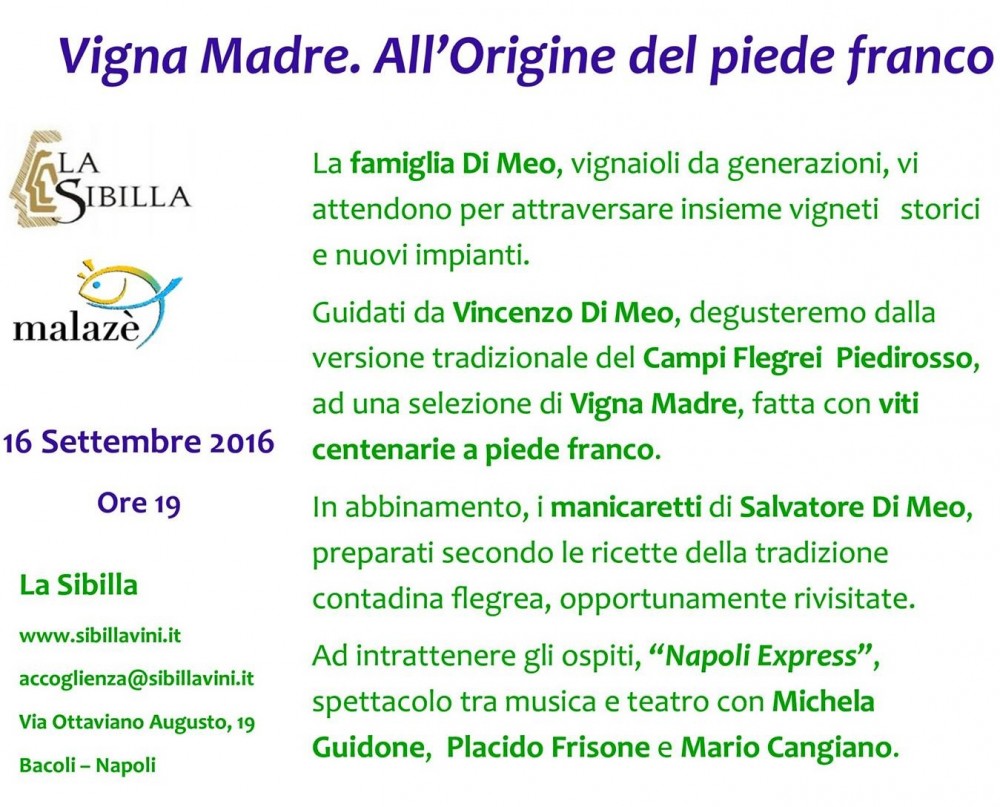 Vigna Madre