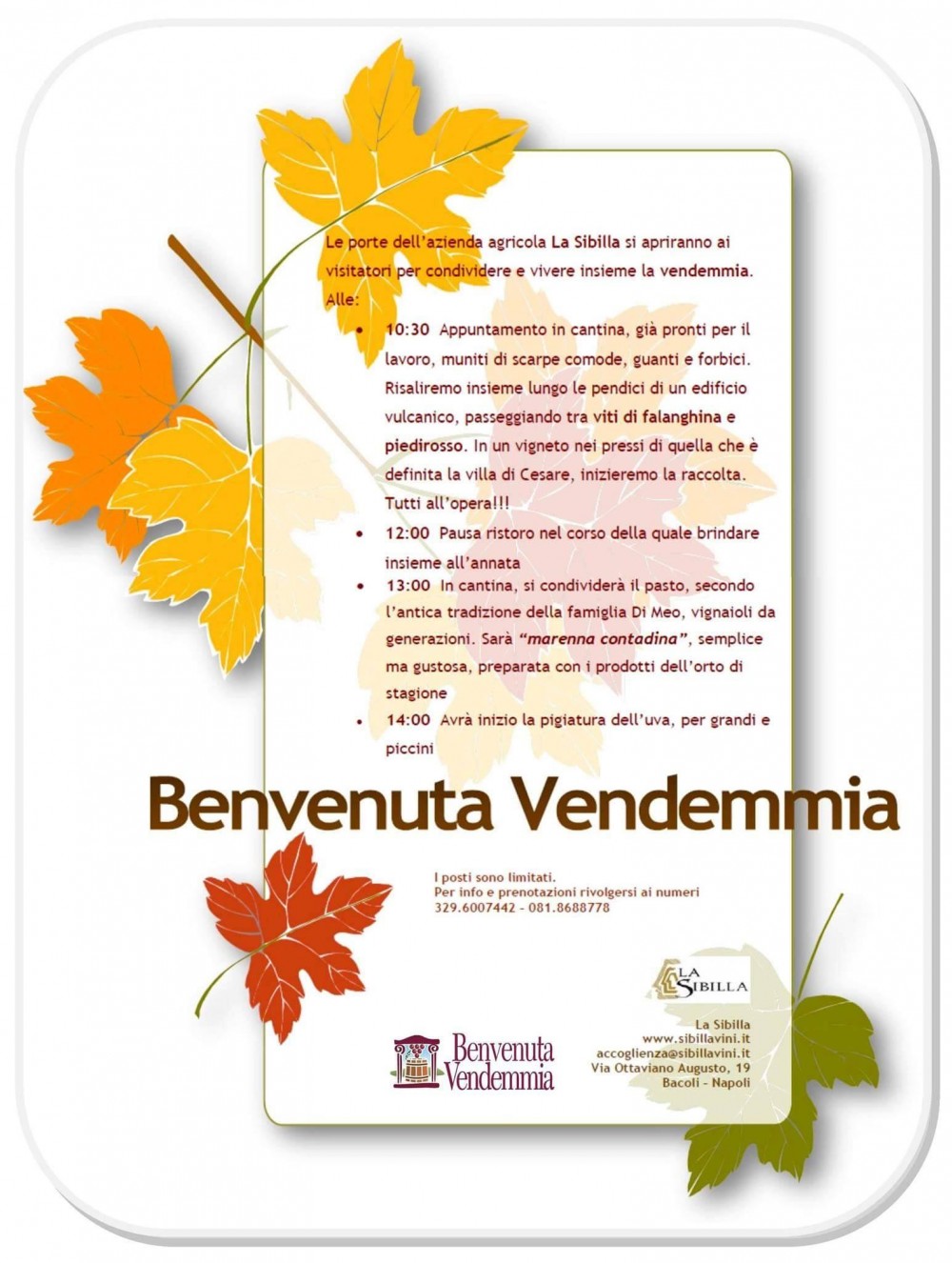 Benvenuta vendemmia