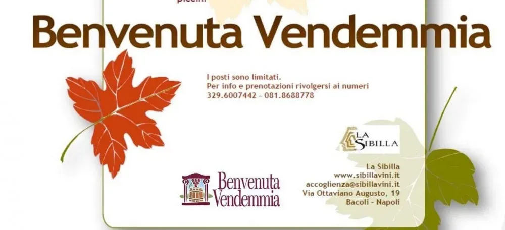 Benvenuta vendemmia