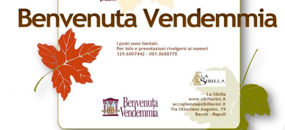 Benvenuta vendemmia