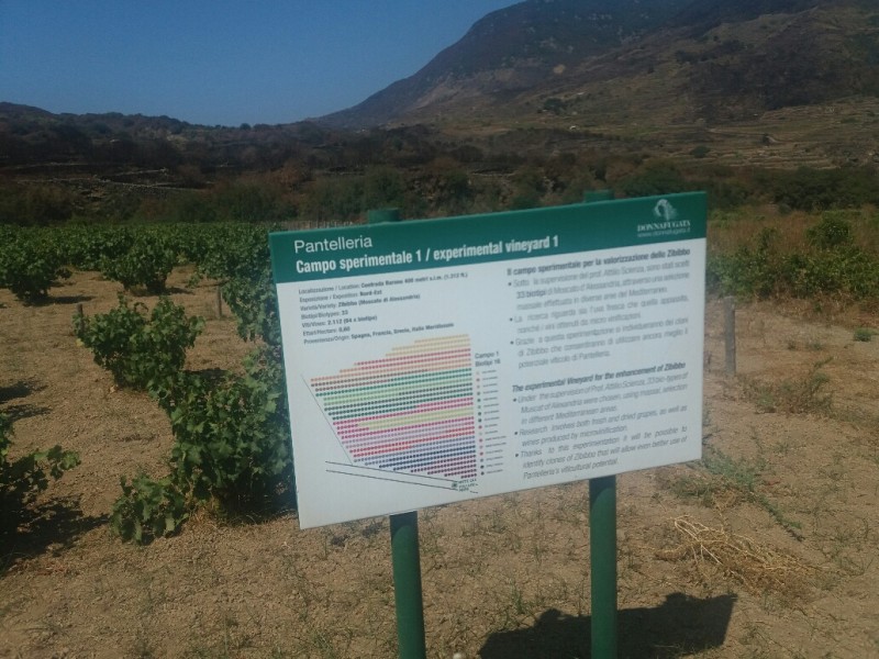 Campo Sperimentale Pantelleria