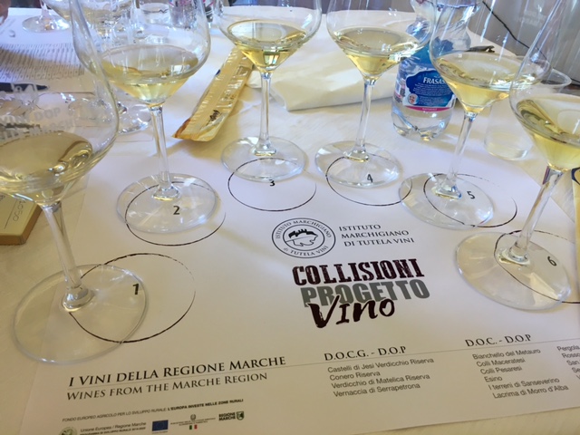 Collisioni, Progetto Vino