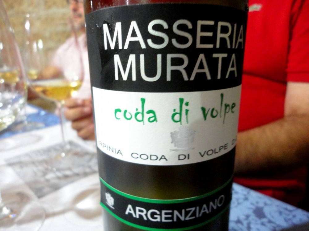 Coda di volpe, Masseria Murata