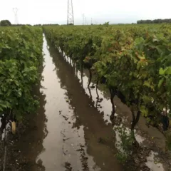 Salento devastato dalle piogge
