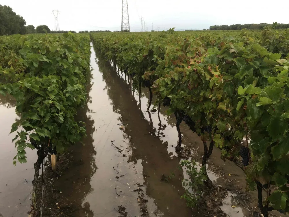 Salento devastato dalle piogge