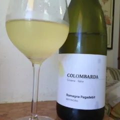 Il Padebit da Bombino Bianco della cantina Colombarda