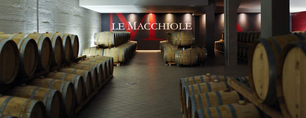 Le Macchiole, Cantina