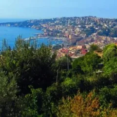 Napoli Vigna diSan Martino