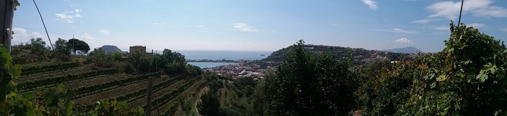 Risaliamo fianchi scoscesi di edifici vulcanici, attraversando terre talvolta irte, dislocate tra Pozzuoli, Bacoli e Monte di Procida