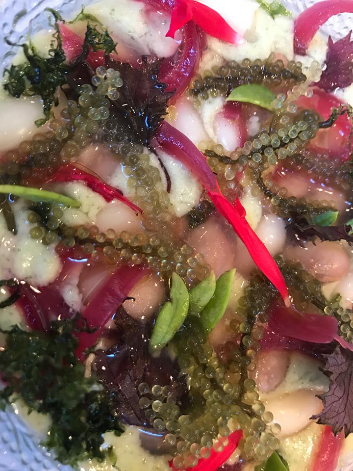 Marianna VItale, alga uva, alga finocchio, cipolle e fagioli