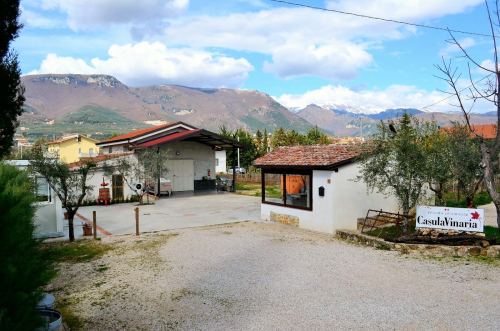 Azienda Casula Vinaria