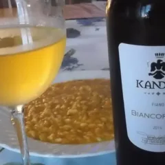 Biancofiore Fiano Daunia Igp 2014 Kandea