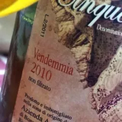 Cinqueterre 2010, Possa