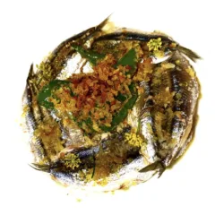 Grand Hotel Quisisana - Alici Arrecanate