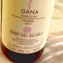 Gana 2001, Terre del Sillabo