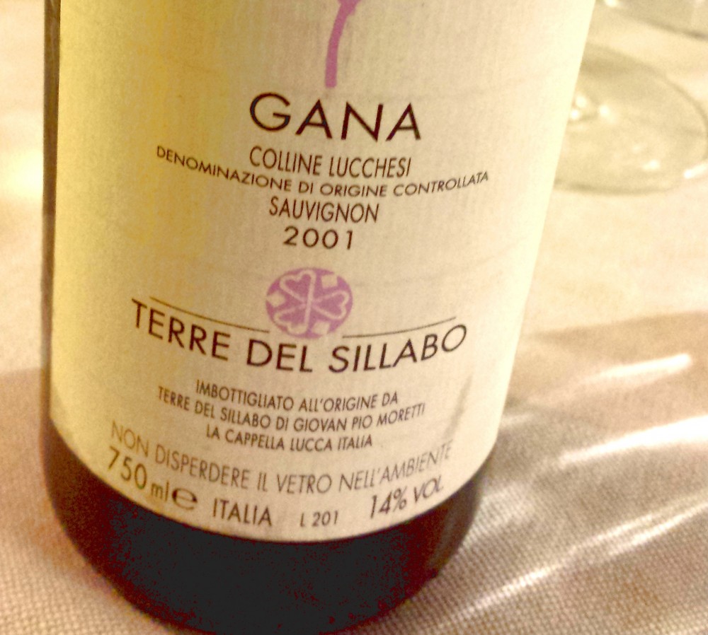 Gana 2001, Terre del Sillabo