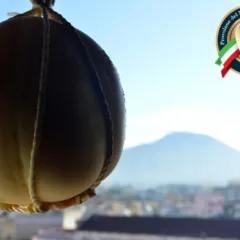 Provolone del Monaco Dop