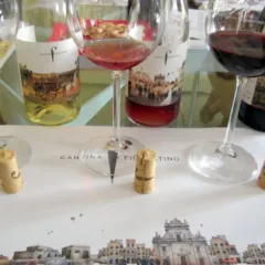 I vini di Cantine Fiorentino