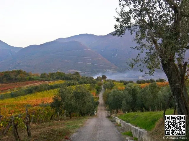 Autinno tra le vigne sannite (foto S. Carlo)