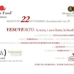 22 novembre Vesuviorto