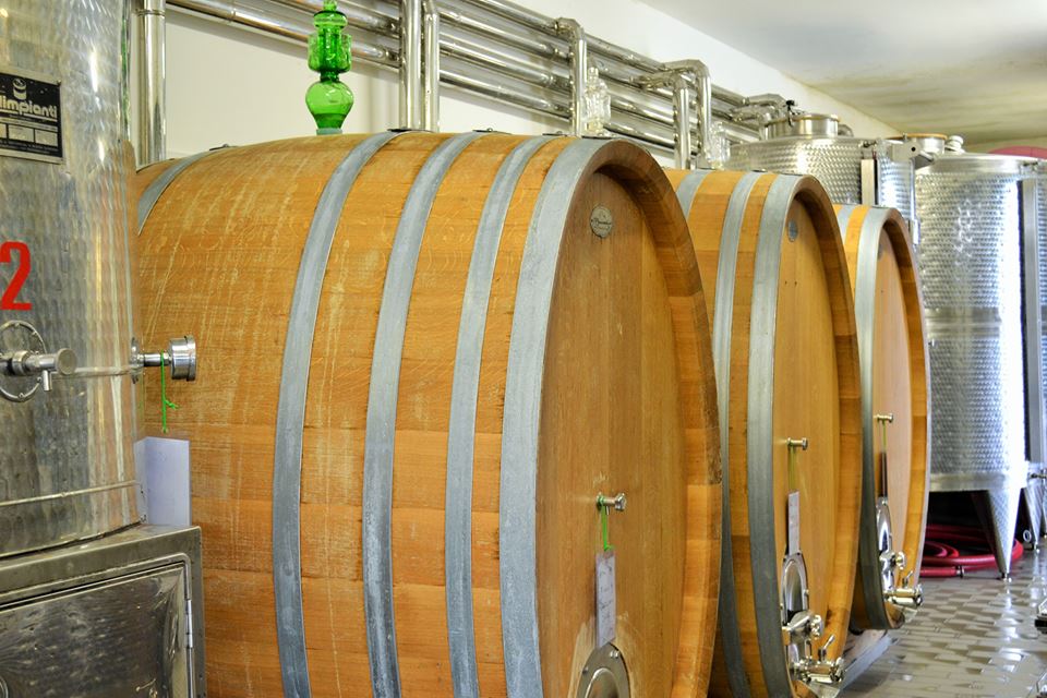 Tenuta Scuotto, Le botti alsaziane dove affina Oi Nì