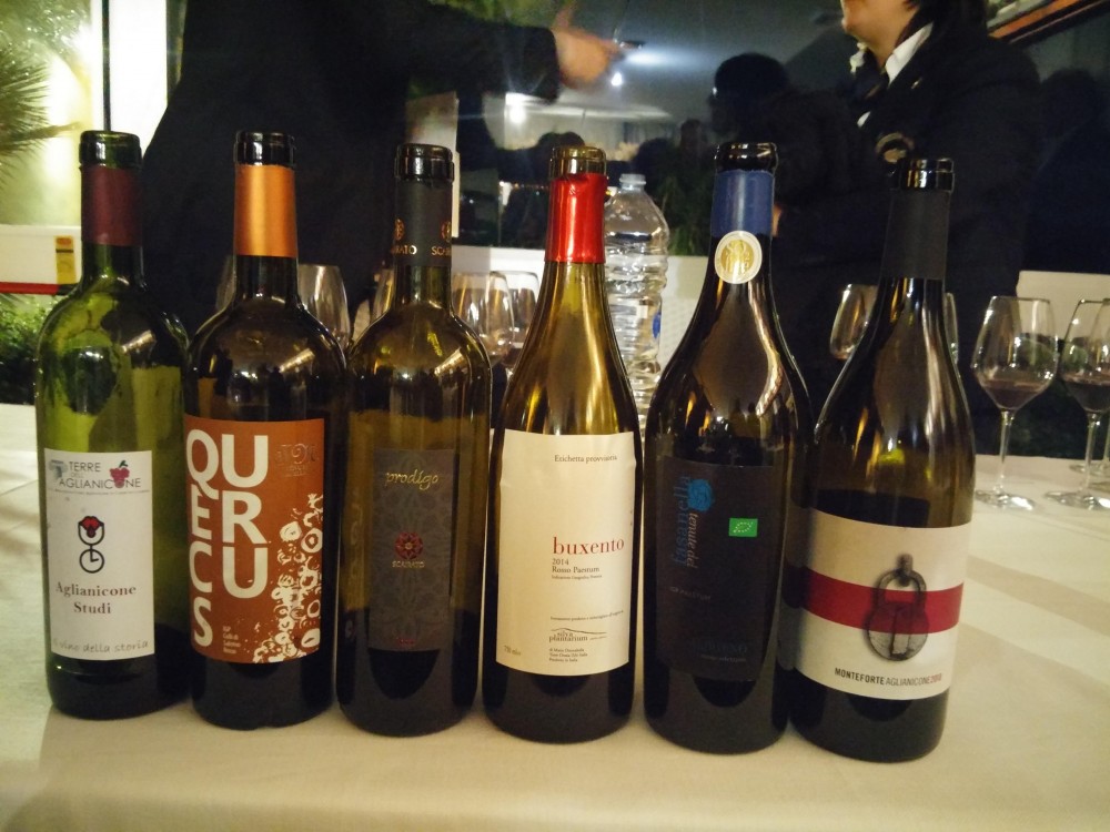 Bottiglie di Aglianicone degustate a Paestum per il Vino del Tuffatore