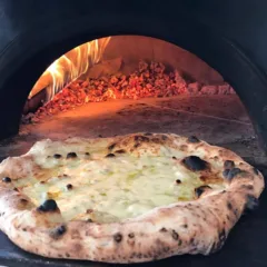 Gnam Napoli gran taste pizza con fiordilatte da latte nobile